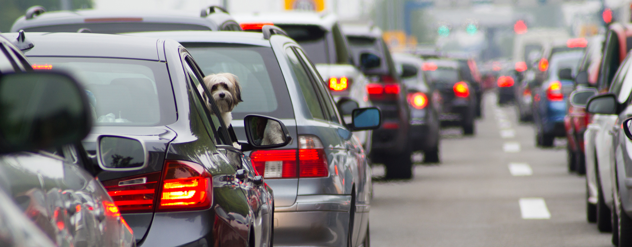 cars stuck in traffic.